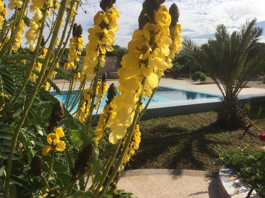 Dar Albatros Guest House Sidi Kaouki Luaran gambar