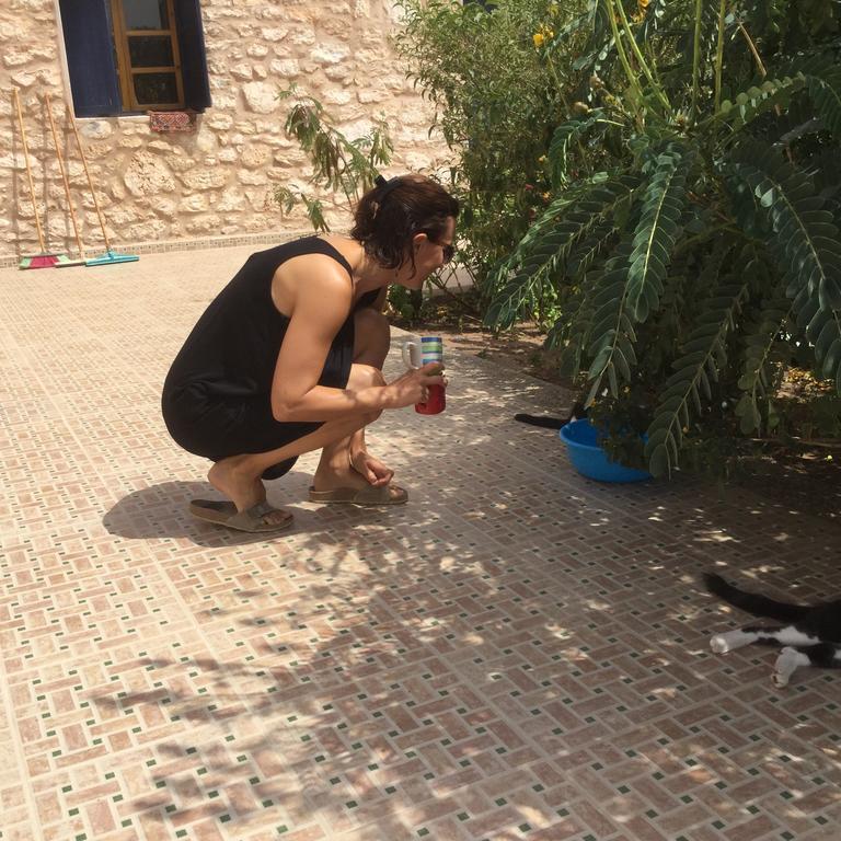 Dar Albatros Guest House Sidi Kaouki Luaran gambar