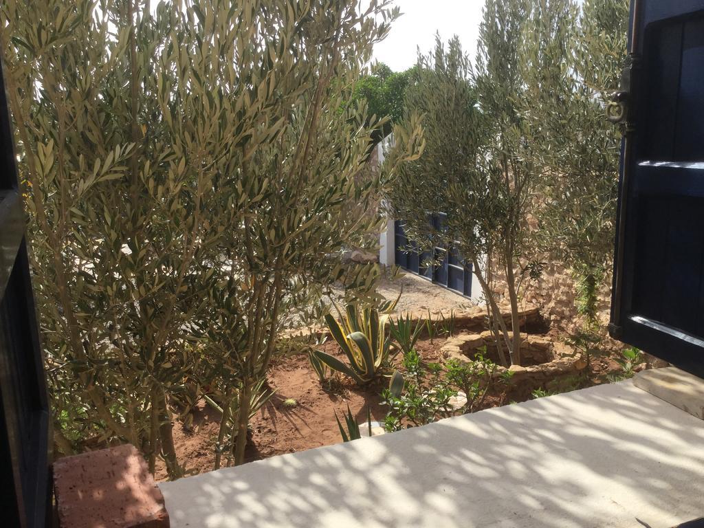 Dar Albatros Guest House Sidi Kaouki Luaran gambar